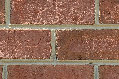 DSC_0040_50_sm.jpg