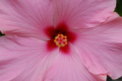 DSC_0209_sm.jpg