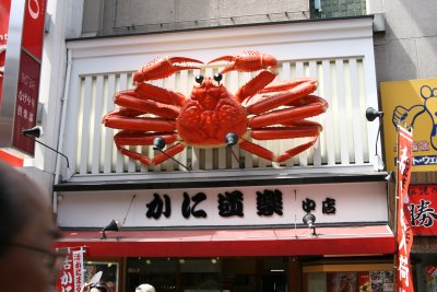 因為朋友唔夠大食，只是有機會試一條長腳蟹 (500 日元兩條仔) 而已