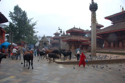 Copy of DSC_0058.JPG