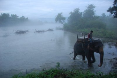 Chitwan Park