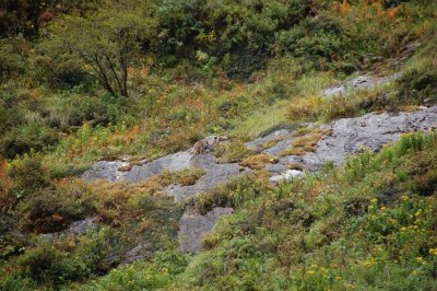 DSC_0462.JPG