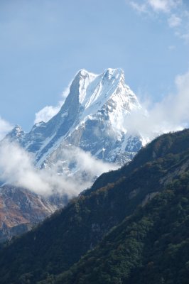DSC_0559.JPG