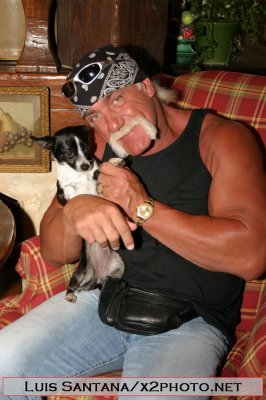 Hulk Hogan's Home