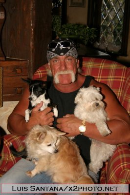 Hulk Hogan's Home