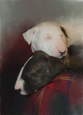 Puppy Dreams