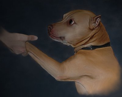 Brutus