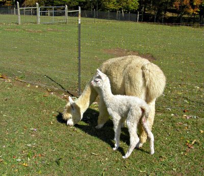 New baby and Mama