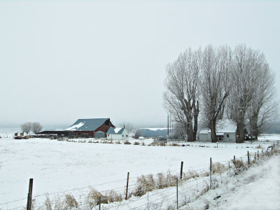 Farm in Winter