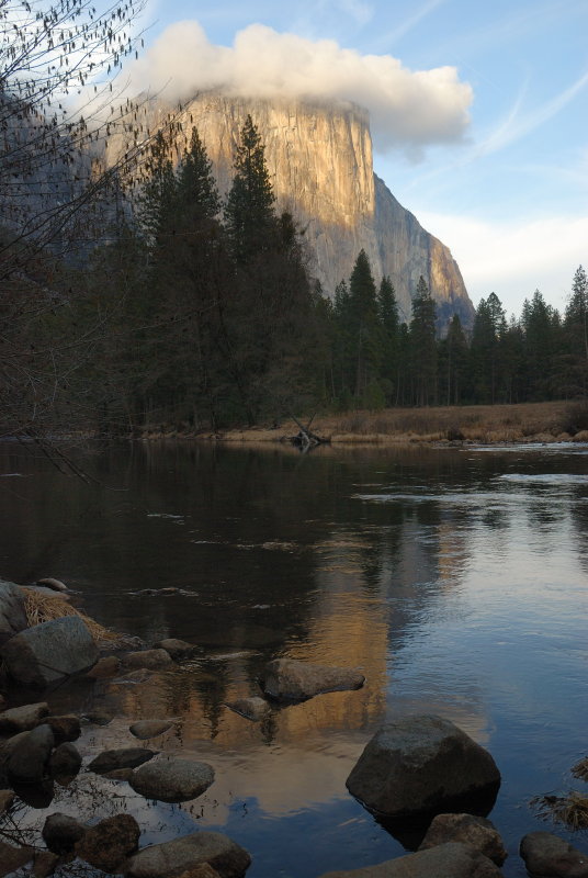 Yosemite 2007-03-08_112.jpg