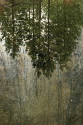 Yosemite reflection_DSC_1592.jpg