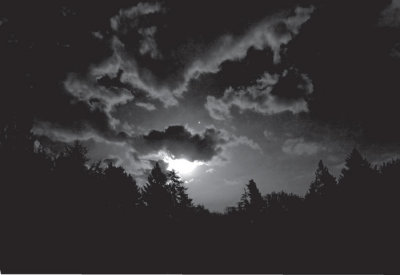 moonrise-bw.jpg