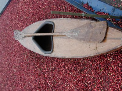 Cranberry Boat