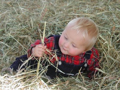 Farmer Finn
