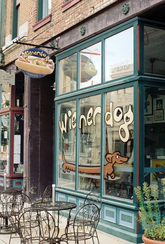 07_weinerdog.jpg