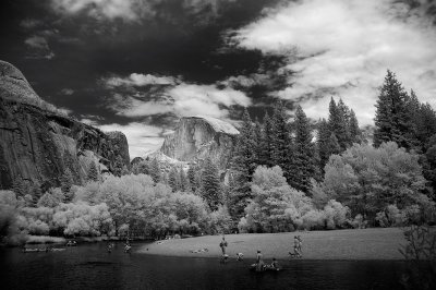 Yosemite Summer