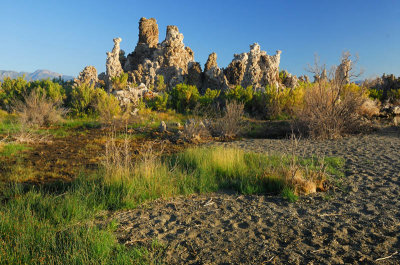 Mono Lake Tufas