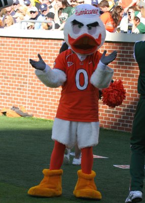Miami Hurricane Mascot