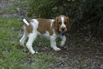 DSC_1668.jpg