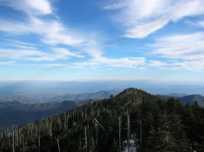 Mt. Mitchell View