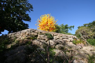 Chihuly Allee