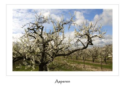 Asperen, Holland
