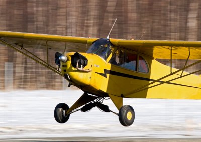Piper J-3L-65 Cub