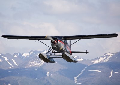 Private - De Havilland Canada DHC-2 Beaver