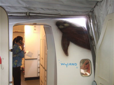 DSCF7387.jpg