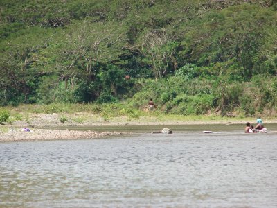 Sigatouka River