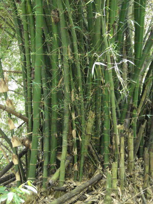 FH090032.jpg