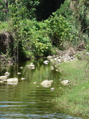 FH090011.jpg