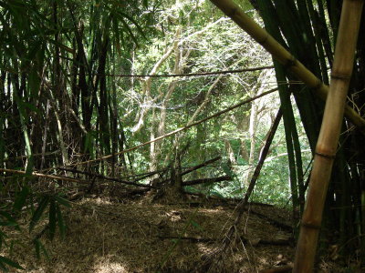 FH090037.jpg