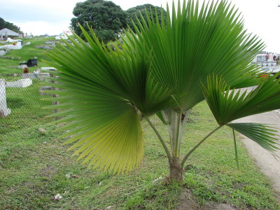 FH010024.jpg