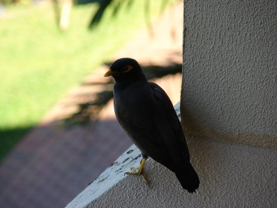 FH080019.jpg