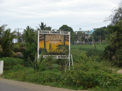 DSC00880.JPG