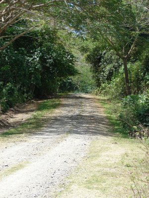FH090008.jpg