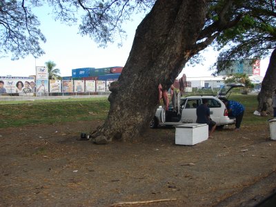 Roadside fish market