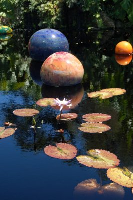 Chihuly At Fairchild Gardens 07_037.JPG