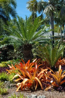 Chihuly At Fairchild Gardens 07_055.JPG