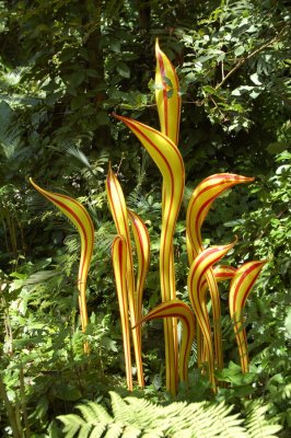 Chihuly At Fairchild Gardens 07_070.JPG