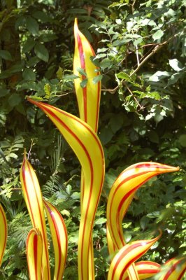 Chihuly At Fairchild Gardens 07_071.JPG