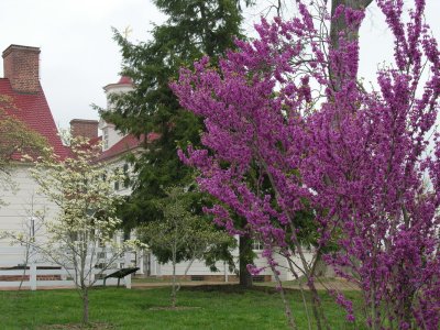 Mt Vernon George Washingtons Home 07_09.JPG