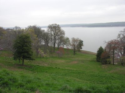 g6/17/726617/3/76932781.svbjnokv.jpg