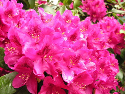 g6/17/726617/3/78084864.IN9e7ug4.jpg
