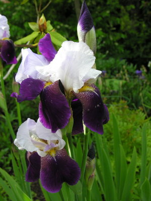 g6/17/726617/3/78084881.EXxxt8u5.jpg