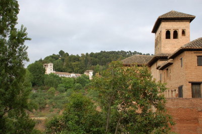 The Alhambra_398.JPG