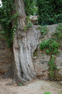 The Alhambra_438.JPG