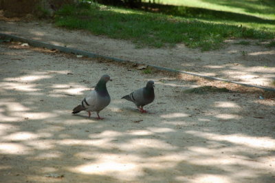 Retiro Park_40.JPG
