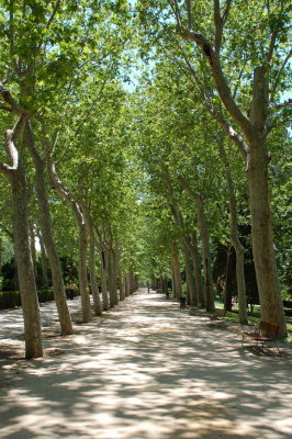 Retiro Park_41.JPG